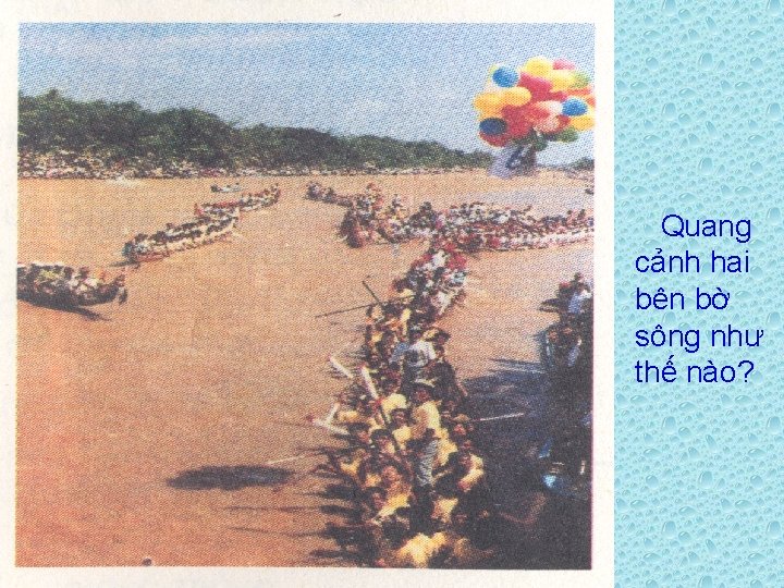 Quang cảnh hai bên bờ sông như thế nào? 