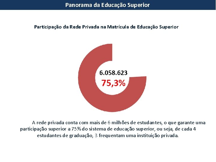 Panorama da Educação Superior Participação da Rede Privada na Matrícula de Educação Superior A