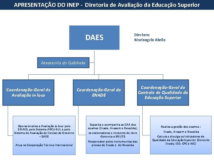 APRESENTAÇÃO DO INEP - Diretoria de Avaliação da Educação Superior DAES Diretora: Mariangela Abrão