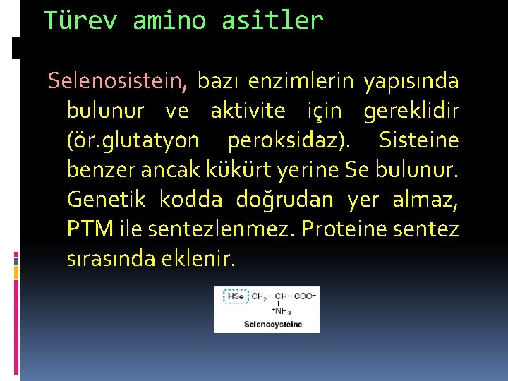 Türev amino asitler Selenosistein, bazı enzimlerin yapısında bulunur ve aktivite için gereklidir (ör. glutatyon