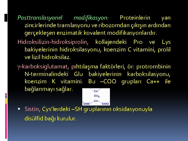 Posttranslasyonel modifikasyon: Proteinlerin yan zincirlerinde translasyonu ve ribozomdan çıkışın ardından gerçekleşen enzimatik kovalent modifikasyonlardır.