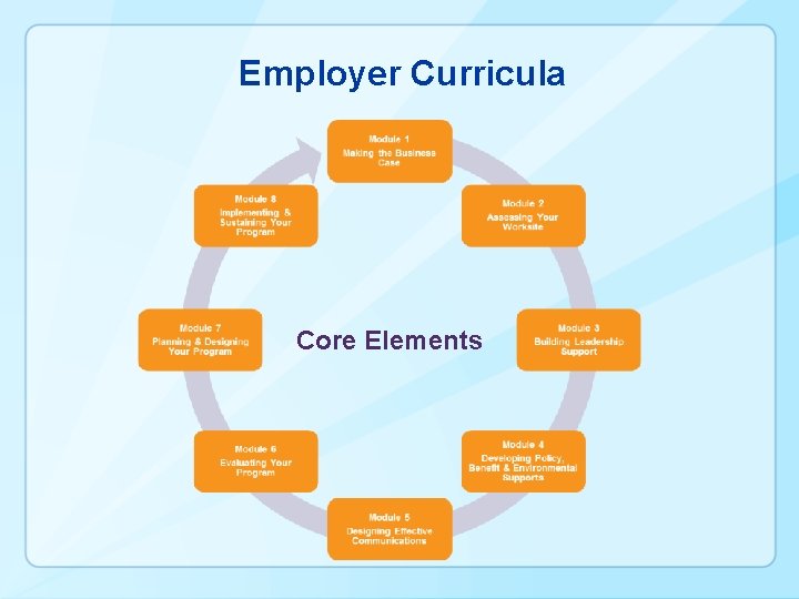 Employer Curricula Core Elements 