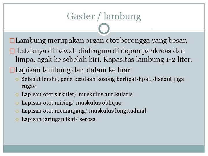 Gaster / lambung �Lambung merupakan organ otot berongga yang besar. � Letaknya di bawah