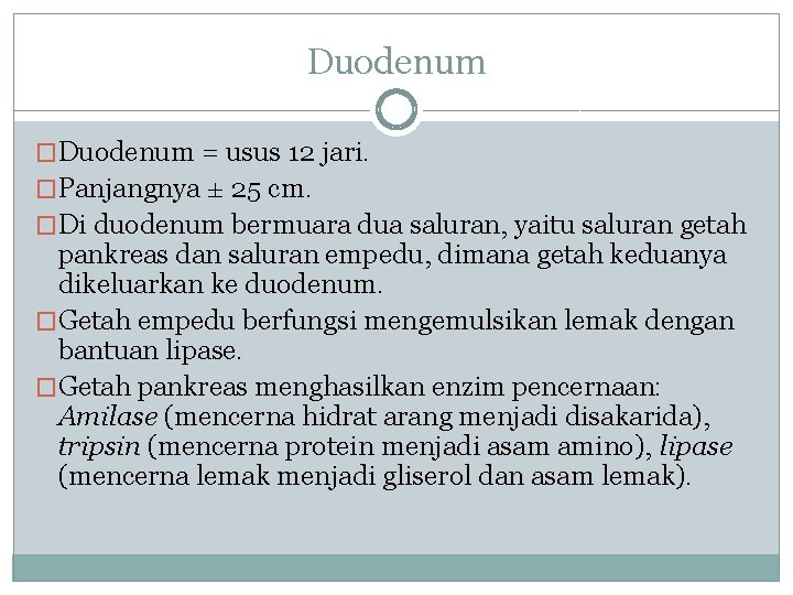 Duodenum �Duodenum = usus 12 jari. �Panjangnya ± 25 cm. �Di duodenum bermuara dua