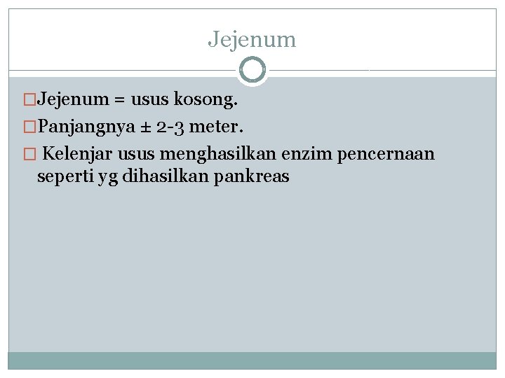 Jejenum �Jejenum = usus kosong. �Panjangnya ± 2 -3 meter. � Kelenjar usus menghasilkan