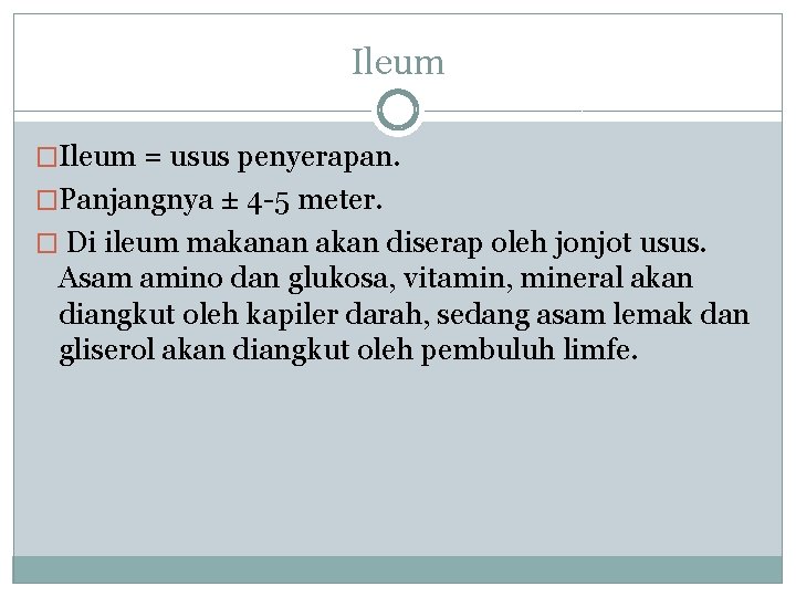 Ileum �Ileum = usus penyerapan. �Panjangnya ± 4 -5 meter. � Di ileum makanan