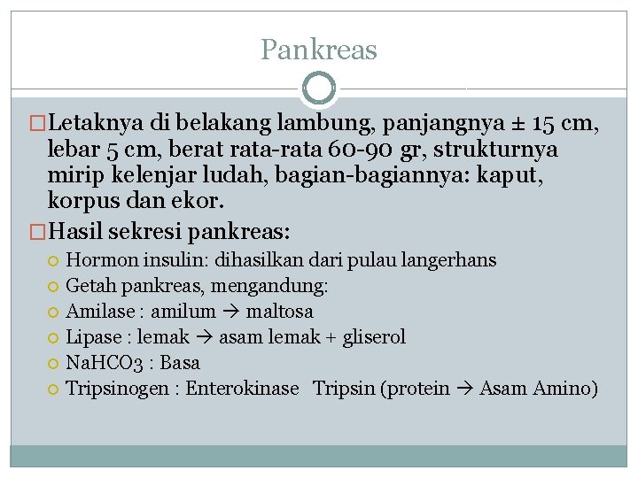 Pankreas �Letaknya di belakang lambung, panjangnya ± 15 cm, lebar 5 cm, berat rata-rata