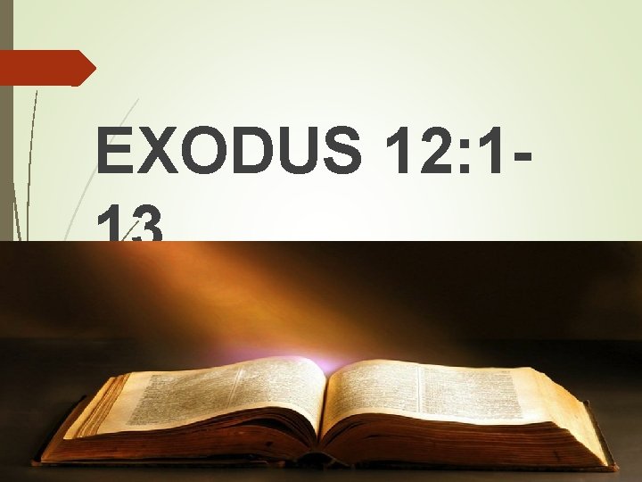 EXODUS 12: 113 