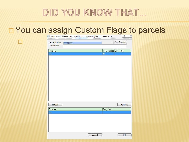 DID YOU KNOW THAT… � You � can assign Custom Flags to parcels 