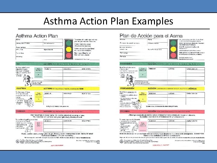 Asthma Action Plan Examples 