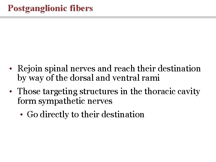 Postganglionic fibers • Rejoin spinal nerves and reach their destination by way of the