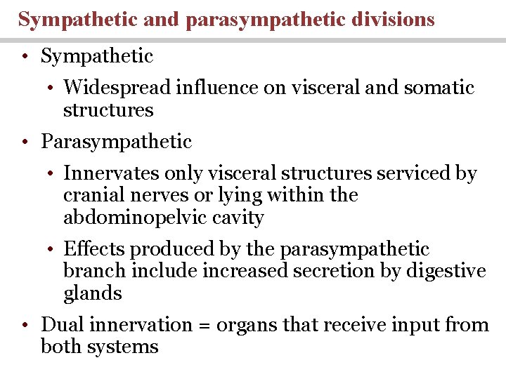 Sympathetic and parasympathetic divisions • Sympathetic • Widespread influence on visceral and somatic structures