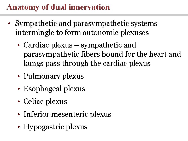 Anatomy of dual innervation • Sympathetic and parasympathetic systems intermingle to form autonomic plexuses