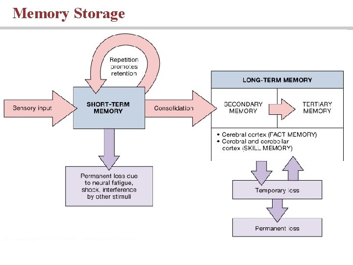 Memory Storage 