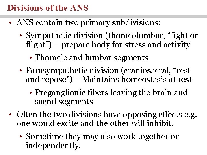 Divisions of the ANS • ANS contain two primary subdivisions: • Sympathetic division (thoracolumbar,