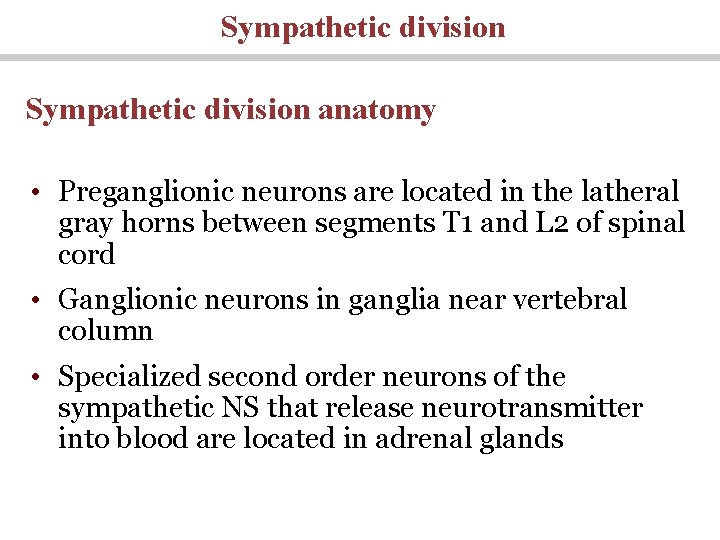 Sympathetic division anatomy • Preganglionic neurons are located in the latheral gray horns between