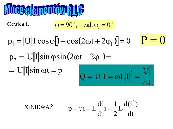 Cewka L PONIEWAŻ 