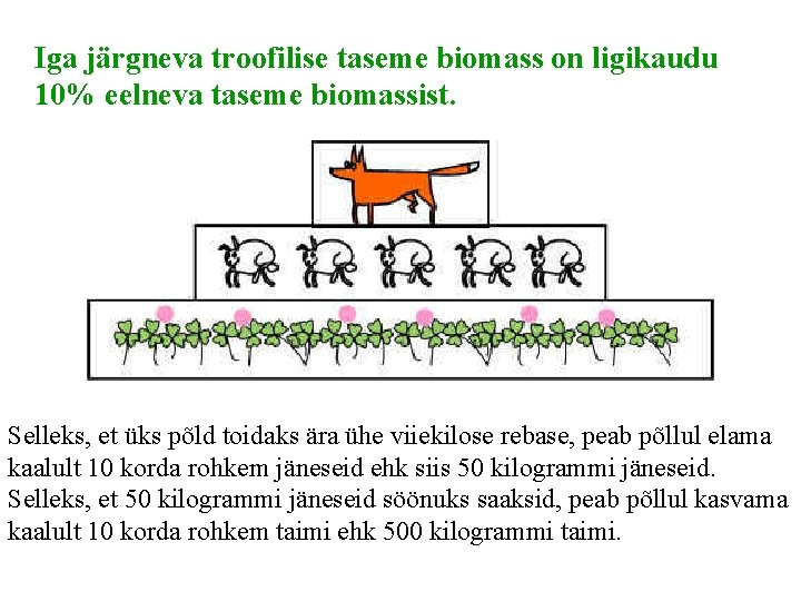 Iga järgneva troofilise taseme biomass on ligikaudu 10% eelneva taseme biomassist. Selleks, et üks