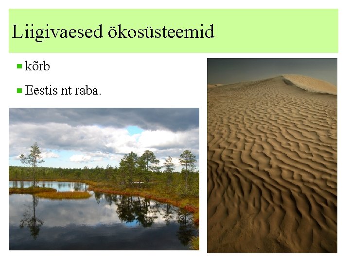 Liigivaesed ökosüsteemid kõrb Eestis nt raba. 