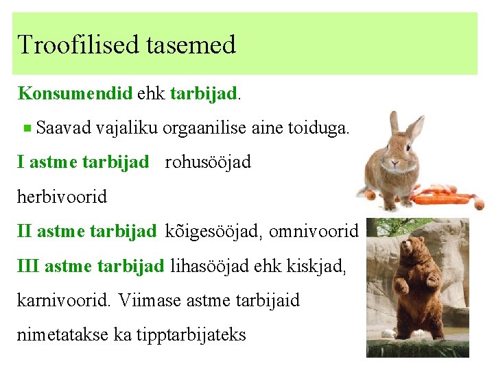 Troofilised tasemed Konsumendid ehk tarbijad. Saavad vajaliku orgaanilise aine toiduga. I astme tarbijad rohusööjad