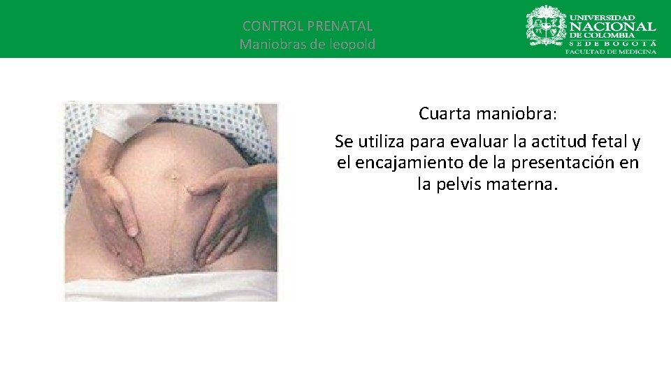 CONTROL PRENATAL Maniobras de leopold Cuarta maniobra: Se utiliza para evaluar la actitud fetal