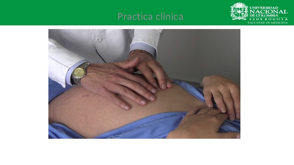 Practica clínica 