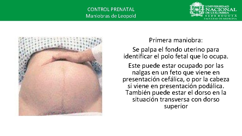 CONTROL PRENATAL Maniobras de Leopold Primera maniobra: Se palpa el fondo uterino para identificar