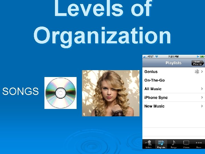 Levels of Organization SONGS 