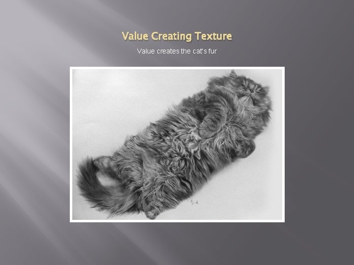 Value Creating Texture Value creates the cat’s fur 
