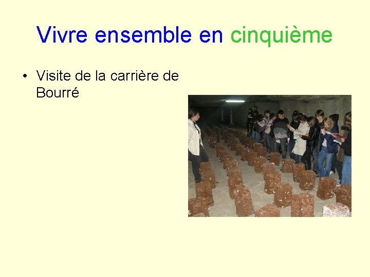 Vivre ensemble en cinquième • Visite de la carrière de Bourré 