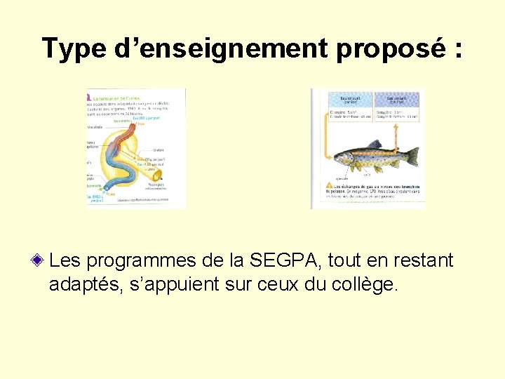 Type d’enseignement proposé : Les programmes de la SEGPA, tout en restant adaptés, s’appuient