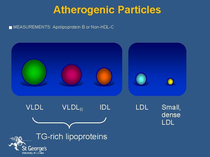 Atherogenic Particles g MEASUREMENTS: Apolipoprotein B or Non-HDL-C VLDLR IDL TG-rich lipoproteins LDL Small,