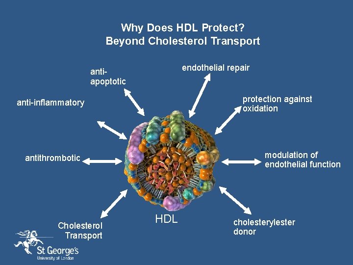 Why Does HDL Protect? Beyond Cholesterol Transport endothelial repair antiapoptotic protection against oxidation anti-inflammatory