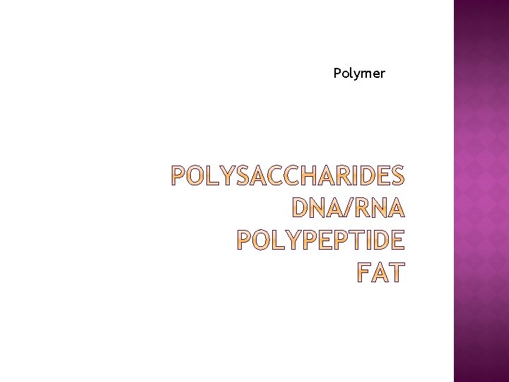 Polymer 