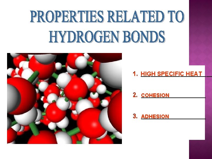 ___________ 1. HIGH SPECIFIC HEAT ___________ 2. COHESION ___________ 3. ADHESION 