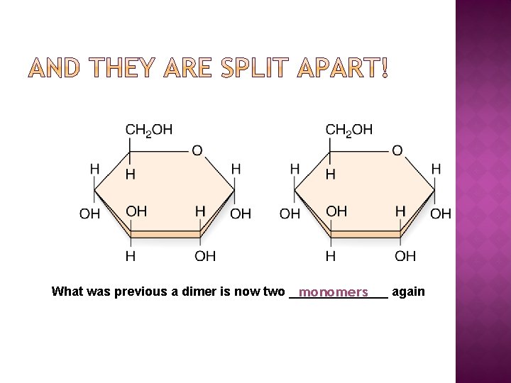 What was previous a dimer is now two _______ again monomers 