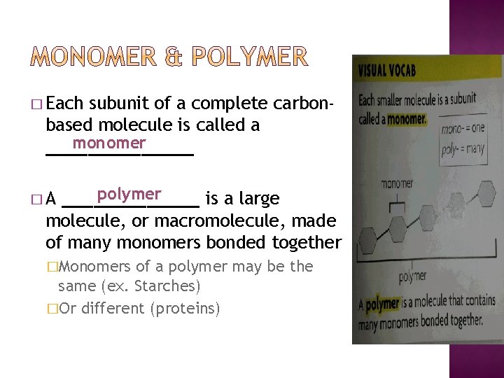 � Each subunit of a complete carbonbased molecule is called a monomer _______ polymer