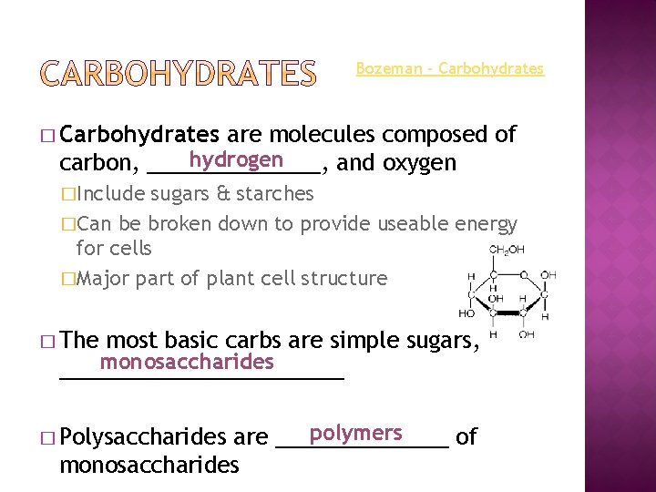 Bozeman - Carbohydrates � Carbohydrates are molecules composed of hydrogen carbon, _______, and oxygen
