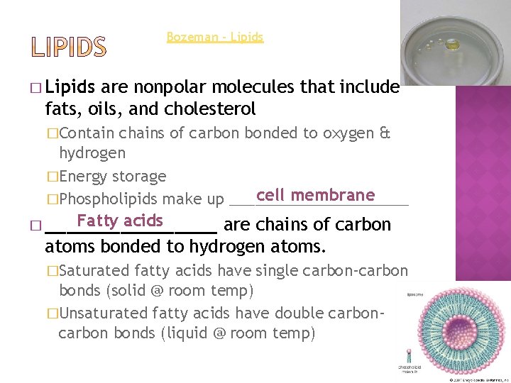 Bozeman - Lipids � Lipids are nonpolar molecules that include fats, oils, and cholesterol