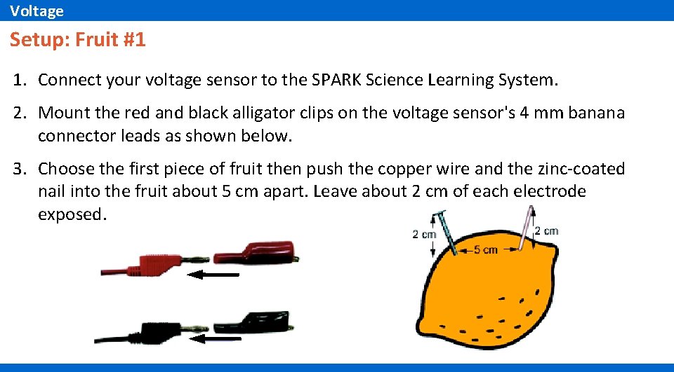 Voltage Setup: Fruit #1 1. Connect your voltage sensor to the SPARK Science Learning