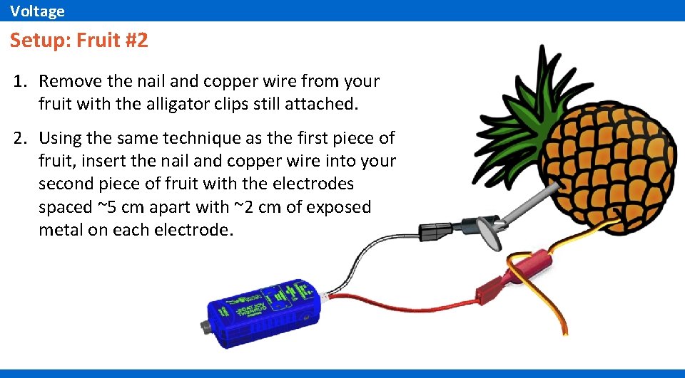Voltage Setup: Fruit #2 1. Remove the nail and copper wire from your fruit