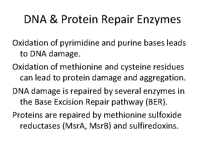 DNA & Protein Repair Enzymes Oxidation of pyrimidine and purine bases leads to DNA