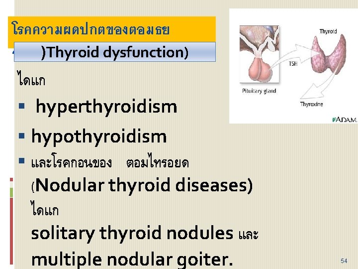 โรคความผดปกตของตอมธย รอยด)Thyroid dysfunction) ไดแก hyperthyroidism hypothyroidism และโรคกอนของ ตอมไทรอยด (Nodular thyroid diseases) ไดแก solitary thyroid