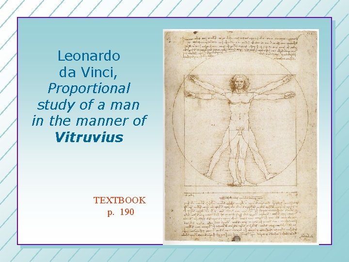 Leonardo da Vinci, Proportional study of a man in the manner of Vitruvius TEXTBOOK