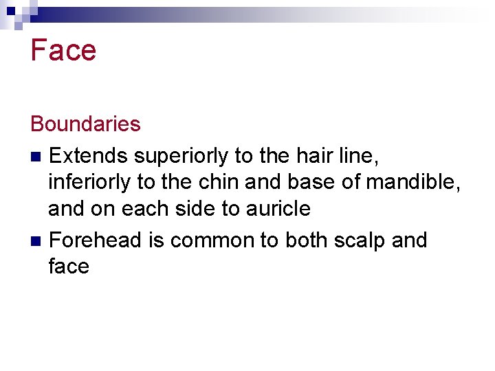 Face Boundaries n Extends superiorly to the hair line, inferiorly to the chin and