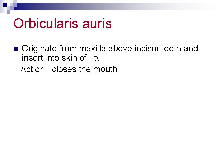 Orbicularis auris n Originate from maxilla above incisor teeth and insert into skin of