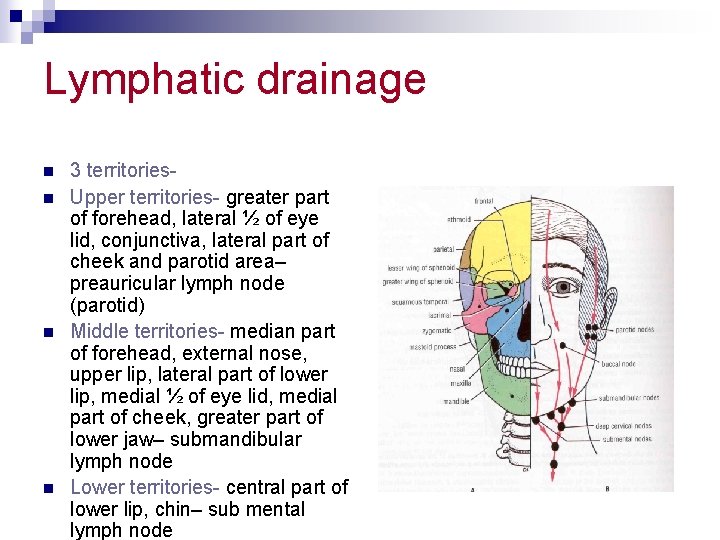 Lymphatic drainage n n 3 territories. Upper territories- greater part of forehead, lateral ½