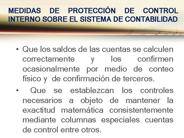 MEDIDAS DE PROTECCIÓN DE CONTROL INTERNO SOBRE EL SISTEMA DE CONTABILIDAD • Que los