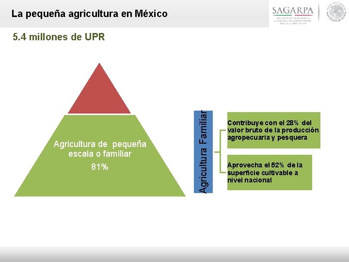 La pequeña agricultura en México Agricultura de pequeña escala o familiar 81% Agricultura Familiar