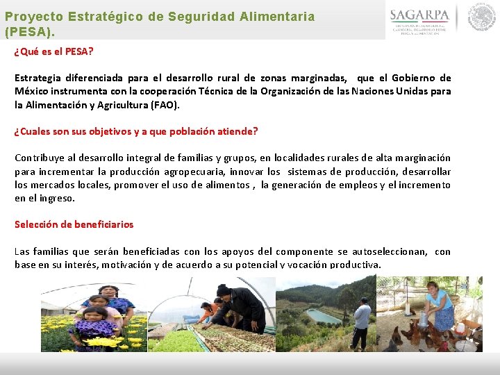 Proyecto Estratégico de Seguridad Alimentaria (PESA). ¿Qué es el PESA? Estrategia diferenciada para el